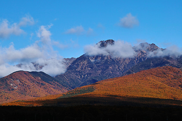 포토 JPG 주간 나무 구름 해외풍경 자연 하늘 산 풍경 사람없음 야외 일본 나가노 국내포토 자연요소 식물 해외 아시아 생태계 파일형식