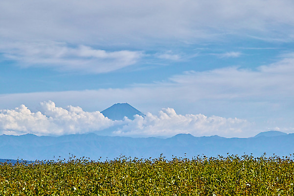 포토 JPG 주간 구름 해외풍경 자연 하늘 산 풍경 사람없음 야외 일본 야마나시 국내포토 자연요소 해외 아시아 생태계 파일형식