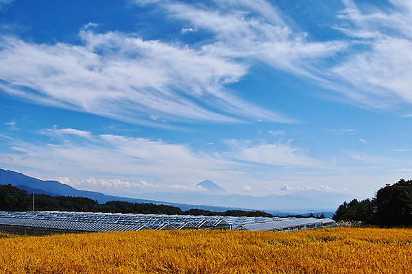 포토 JPG 주간 구름 해외풍경 자연 하늘 풍경 사람없음 야외 일본 태양에너지 야마나시 국내포토 자연요소 해외 아시아 그린에너지 생태계 파일형식