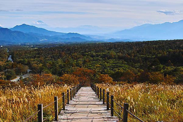포토 JPG 주간 해외풍경 자연 하늘 산 풍경 사람없음 야외 일본 나무다리 야마나시 국내포토 자연요소 해외 아시아 다리_건축물 생태계 파일형식
