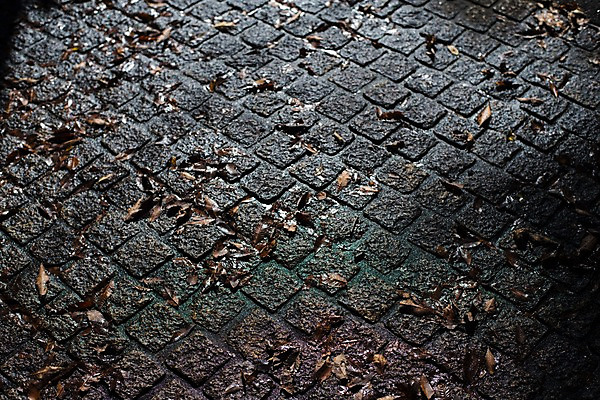 포토 JPG 해외풍경 풍경 사람없음 야외 일본 야간 길바닥 국내포토 자연요소 해외 아시아 바닥 파일형식