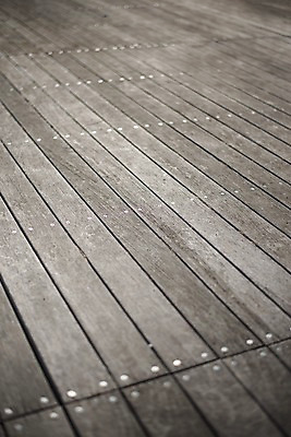 포토 JPG 주간 해외풍경 풍경 사람없음 야외 일본 나무바닥 국내포토 자연요소 해외 아시아 바닥 파일형식