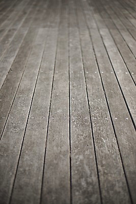 포토 JPG 주간 해외풍경 풍경 사람없음 야외 일본 나무바닥 국내포토 자연요소 해외 아시아 바닥 파일형식