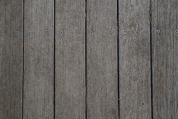 포토 JPG 주간 해외풍경 풍경 사람없음 야외 일본 나무바닥 국내포토 자연요소 해외 아시아 바닥 파일형식