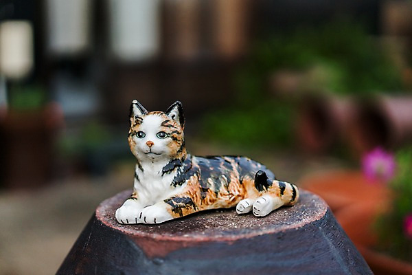 포토 JPG 주간 해외풍경 풍경 사람없음 야외 일본 항아리 고양이인형 국내포토 자연요소 해외 아시아 인형 도자기 파일형식