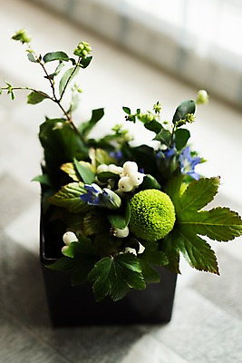 포토 JPG 해외풍경 꽃 화분 실내 풍경 사람없음 일본 국내포토 식물 해외 아시아 내부 파일형식