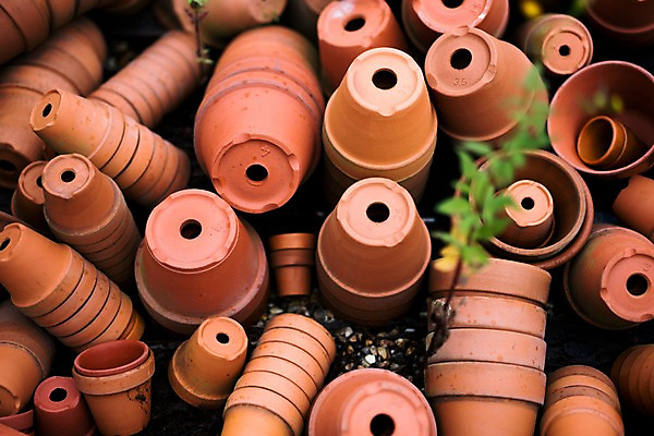 포토 JPG 주간 해외풍경 화분 풍경 사람없음 야외 일본 국내포토 자연요소 해외 아시아 파일형식