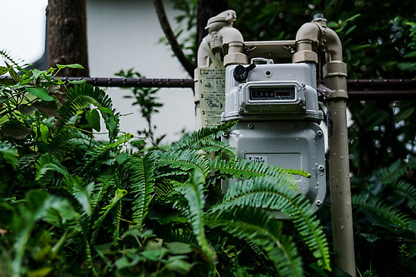 포토 JPG 주간 식물 해외풍경 거리 풍경 사람없음 야외 일본 계량기 국내포토 자연요소 해외 아시아 파일형식