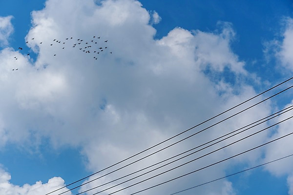 포토 JPG 주간 구름 해외풍경 하늘 풍경 사람없음 야외 일본 전선 국내포토 자연요소 해외 아시아 파일형식
