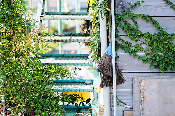 포토 JPG 주간 해외풍경 풍경 사람없음 야외 일본 덩굴 빗자루 국내포토 자연요소 식물 해외 아시아 청소도구 파일형식