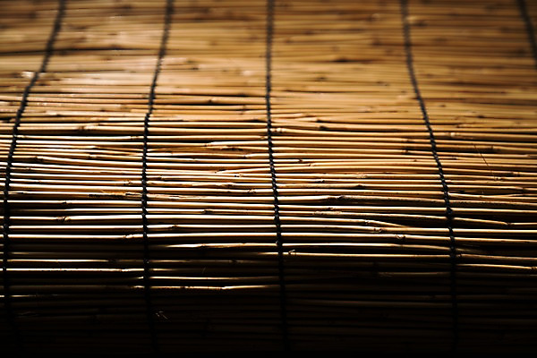 포토 JPG 주간 해외풍경 풍경 사람없음 야외 일본 나무발 국내포토 자연요소 해외 아시아 파일형식