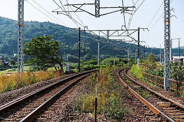 포토 JPG 주간 해외풍경 풍경 사람없음 야외 일본 전철역 국내포토 자연요소 해외 아시아 역 파일형식