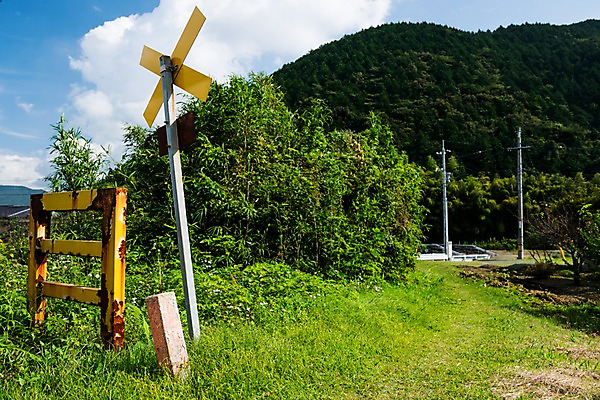 포토 JPG 주간 나무 해외풍경 풍경 사람없음 야외 일본 표지판 국내포토 자연요소 식물 해외 아시아 알림판 파일형식