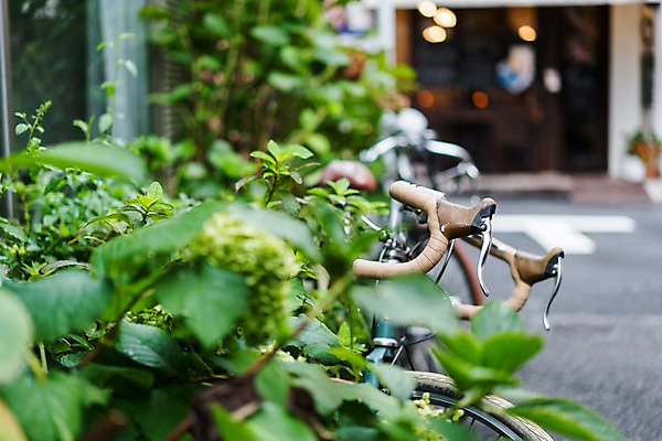 포토 JPG 주간 식물 해외풍경 풍경 사람없음 야외 일본 자전거 국내포토 자연요소 해외 아시아 바이크 파일형식