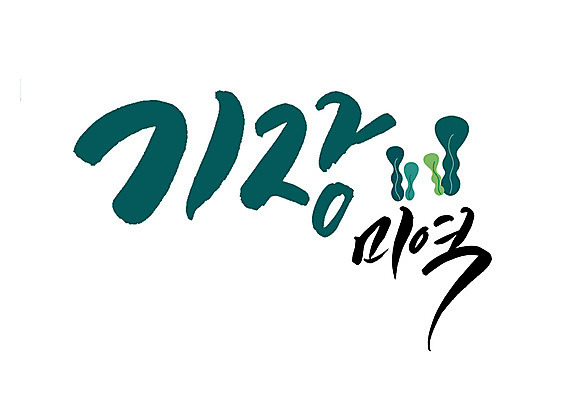 PSD 일러스트 캘리그라피 글자캘리그라피 사람없음 특산물 부산 미역 국내일러스트 기장군 한국 해조류 파일형식