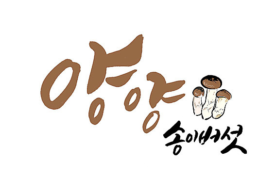 PSD 일러스트 캘리그라피 글자캘리그라피 사람없음 특산물 송이버섯 양양군 국내일러스트 버섯 강원도 파일형식