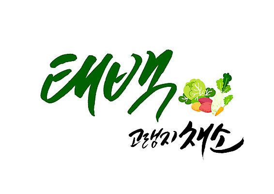 PSD 채소 일러스트 캘리그라피 글자캘리그라피 사람없음 특산물 태백 고랭지 국내일러스트 농업 강원도 파일형식