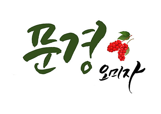 PSD 일러스트 캘리그라피 글자캘리그라피 사람없음 특산물 문경 오미자 국내일러스트 경상북도 파일형식