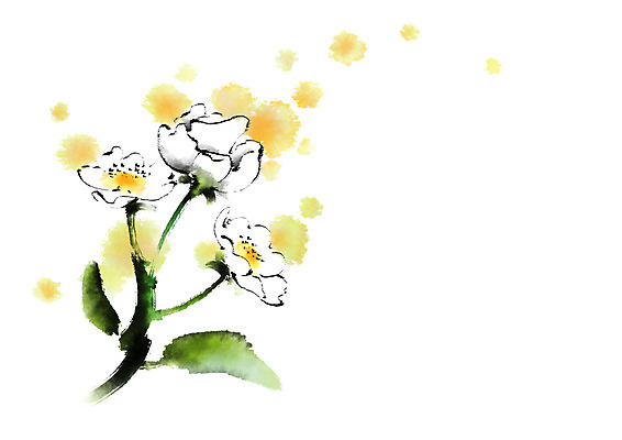 PSD 꽃 일러스트 캘리그라피 붓터치 사람없음 번짐 국내일러스트 식물 파일형식 효과