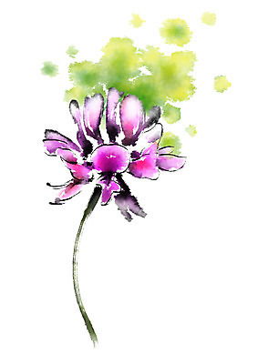 PSD 꽃 일러스트 캘리그라피 붓터치 사람없음 연두색 보라색 번짐 국내일러스트 식물 컬러 초록색 파일형식 효과