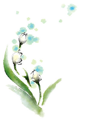 PSD 꽃 하늘색 일러스트 캘리그라피 붓터치 사람없음 연두색 번짐 국내일러스트 식물 초록색 파란색 파일형식 효과