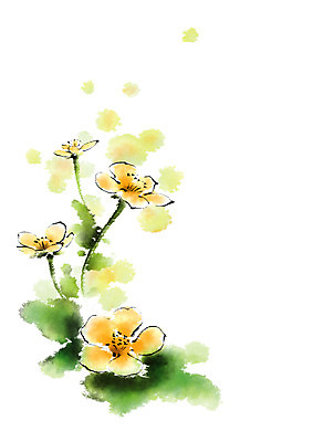 PSD 꽃 일러스트 캘리그라피 붓터치 사람없음 연두색 노란색 번짐 국내일러스트 식물 컬러 초록색 파일형식 효과