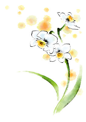 PSD 꽃 일러스트 캘리그라피 붓터치 사람없음 노란색 번짐 국내일러스트 식물 컬러 파일형식 효과