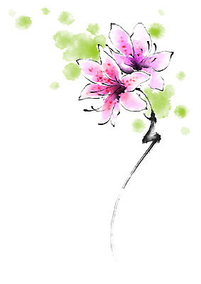 PSD 꽃 일러스트 캘리그라피 붓터치 사람없음 연두색 보라색 번짐 국내일러스트 식물 컬러 초록색 파일형식 효과