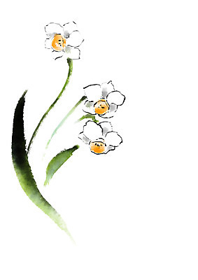 PSD 꽃 일러스트 캘리그라피 붓터치 사람없음 연두색 흰색 번짐 국내일러스트 식물 컬러 초록색 파일형식 효과