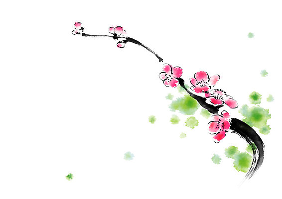 PSD 꽃 분홍색 일러스트 캘리그라피 붓터치 사람없음 연두색 번짐 국내일러스트 식물 컬러 초록색 파일형식 효과