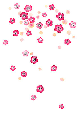 PSD 꽃 분홍색 일러스트 캘리그라피 사람없음 매화 번짐 국내일러스트 식물 컬러 파일형식 효과