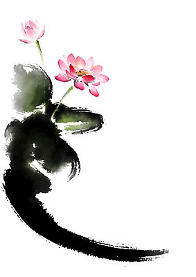 PSD 꽃 분홍색 일러스트 캘리그라피 붓터치 연꽃 사람없음 연잎 국내일러스트 식물 컬러 잎 파일형식