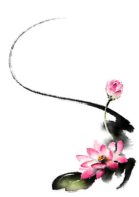 PSD 꽃 분홍색 일러스트 캘리그라피 붓터치 연꽃 사람없음 번짐 국내일러스트 식물 컬러 파일형식 효과