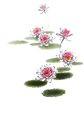 PSD 꽃 분홍색 일러스트 캘리그라피 연꽃 사람없음 초록색 연잎 번짐 국내일러스트 식물 컬러 잎 파일형식 효과