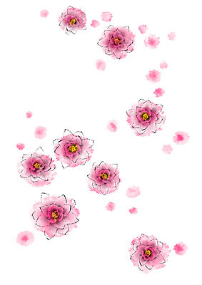 PSD 꽃 분홍색 일러스트 캘리그라피 연꽃 사람없음 번짐 국내일러스트 식물 컬러 파일형식 효과