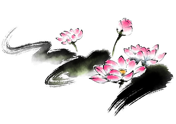 PSD 꽃 일러스트 캘리그라피 붓터치 연꽃 사람없음 국내일러스트 식물 파일형식