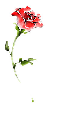 PSD 꽃 일러스트 캘리그라피 붓터치 사람없음 빨간색 장미 번짐 국내일러스트 식물 컬러 파일형식 효과