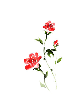 PSD 꽃 일러스트 캘리그라피 붓터치 사람없음 빨간색 장미 국내일러스트 식물 컬러 파일형식