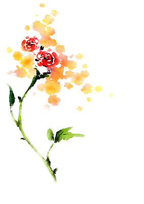 PSD 꽃 일러스트 캘리그라피 붓터치 사람없음 빨간색 장미 노란색 번짐 국내일러스트 식물 컬러 파일형식 효과