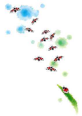 PSD 하늘색 일러스트 캘리그라피 사람없음 빨간색 초록색 무당벌레 번짐 국내일러스트 컬러 곤충 파란색 파일형식 효과