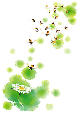 PSD 일러스트 캘리그라피 사람없음 연두색 민들레 벌 번짐 국내일러스트 꽃 곤충 초록색 파일형식 효과