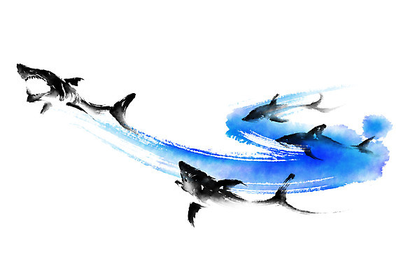 PSD 바다 하늘색 일러스트 캘리그라피 붓터치 사람없음 번짐 상어 국내일러스트 어류 파란색 파일형식 효과