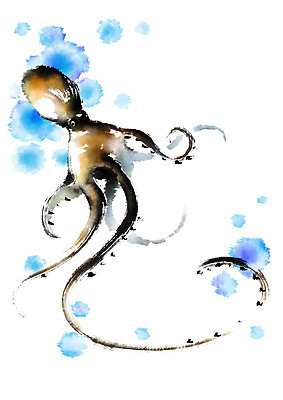 PSD 하늘색 일러스트 식재료 캘리그라피 붓터치 사람없음 번짐 주꾸미 제철음식 국내일러스트 음식 연체동물 파란색 수중동물 제철 파일형식 효과