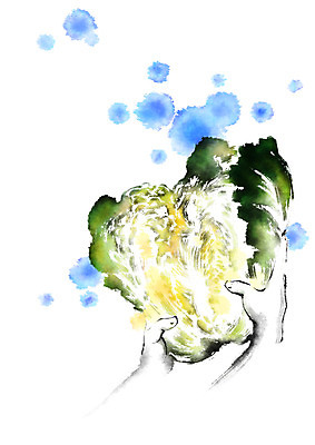 PSD 손 하늘색 일러스트 식재료 캘리그라피 신체부위 초록색 배추 번짐 국내일러스트 컬러 채소 사람 파란색 파일형식 효과