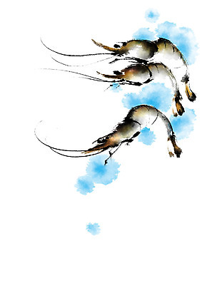 PSD 하늘색 일러스트 식재료 캘리그라피 붓터치 새우 사람없음 번짐 국내일러스트 갑각류 파란색 파일형식 효과