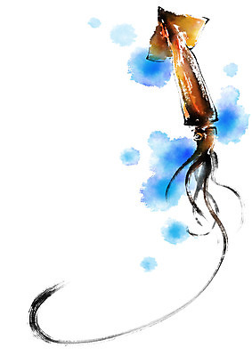 PSD 하늘색 일러스트 식재료 캘리그라피 붓터치 사람없음 갈색 오징어 번짐 국내일러스트 컬러 연체동물 파란색 수중동물 파일형식 효과