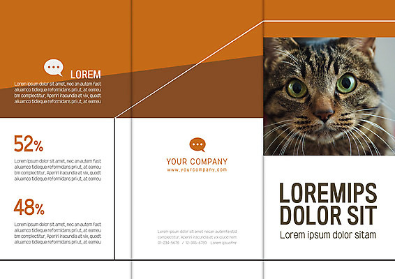 템플릿 한마리 표지디자인 북디자인 출판디자인 표지 리플렛 북커버 3단접지 팜플렛 사람없음 반려동물 고양이 반려 이미지템플릿 AI파일 동물 1 포유류 파일형식 벡터