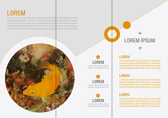 템플릿 표지디자인 북디자인 출판디자인 내지 리플렛 북커버 3단접지 어류 팜플렛 사람없음 이미지템플릿 AI파일 수중동물 파일형식 벡터