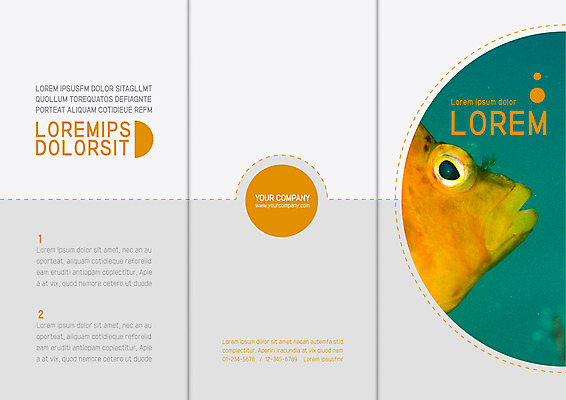템플릿 표지디자인 북디자인 출판디자인 표지 리플렛 북커버 3단접지 어류 팜플렛 사람없음 눈동자 이미지템플릿 AI파일 수중동물 눈_신체부위 파일형식 벡터