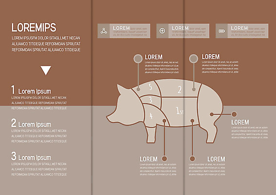 템플릿 표지디자인 북디자인 출판디자인 내지 리플렛 북커버 3단접지 돼지고기 팜플렛 사람없음 가축 돼지 부위 이미지템플릿 AI파일 동물 포유류 육류 파일형식 벡터